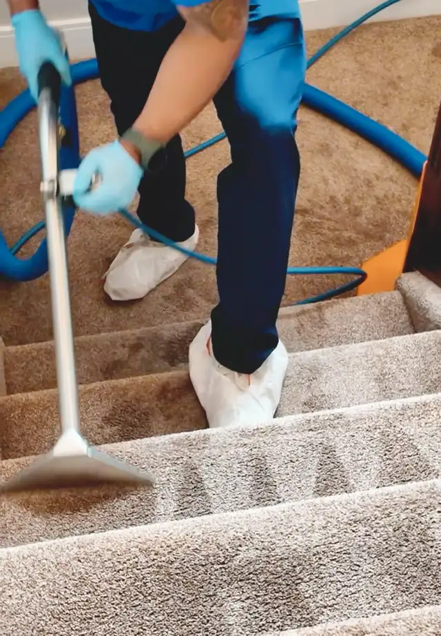 Carpet Cleaning 40$63005662035587121