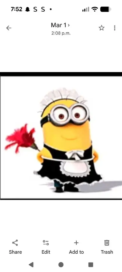 ANIKO CLEANING SERVICES ANY TIME ANY WHERE , View more