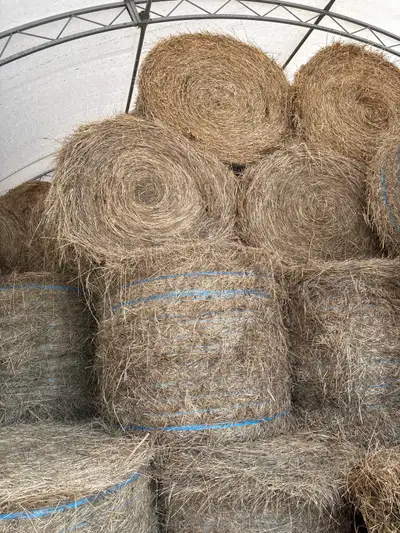 Hay - 4ft  Round Bales, View more