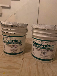 Dryfall Ceiling paint