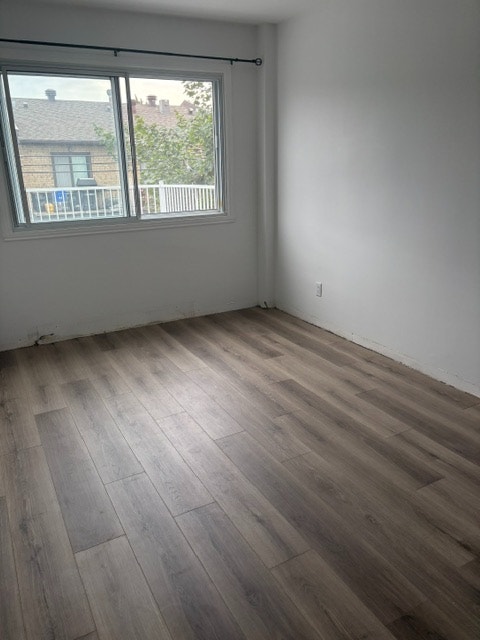 4 1/2 à louer Nouveau Rosemont — photo 2