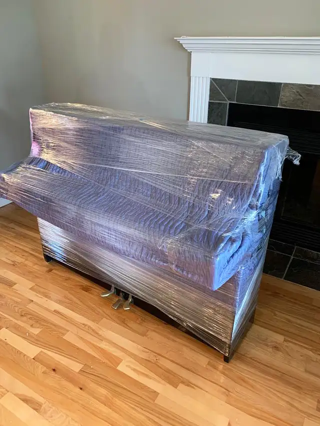 Transport David Pro64556775807618123