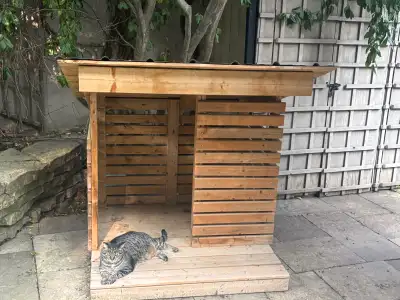 Dog house for sale. $300. (sorry, cat not included!). Yonge & St. Clair - Midtown Toronto.