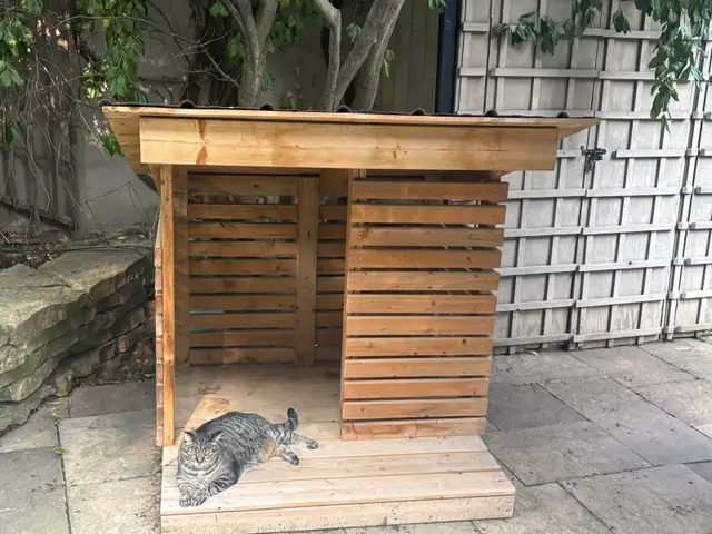 Dog House in Other in City of Toronto - Image 2