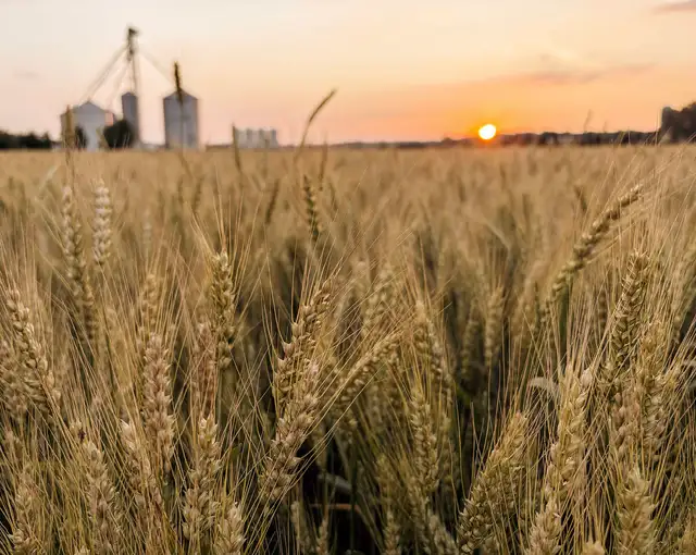 Young family looking for farm land to own or rent
