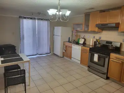 2  bed room legal Basement  with walk out to back yard