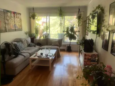 big sunny 1 bedroom