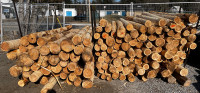 8ft & 10ft 5 inch round cedar posts