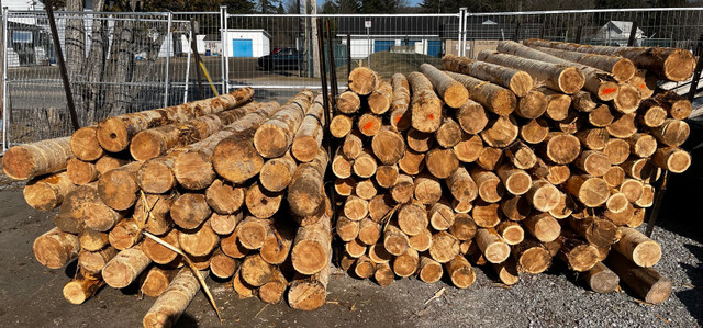 8ft & 10ft 5 inch round cedar posts in Decks & Fences in Muskoka