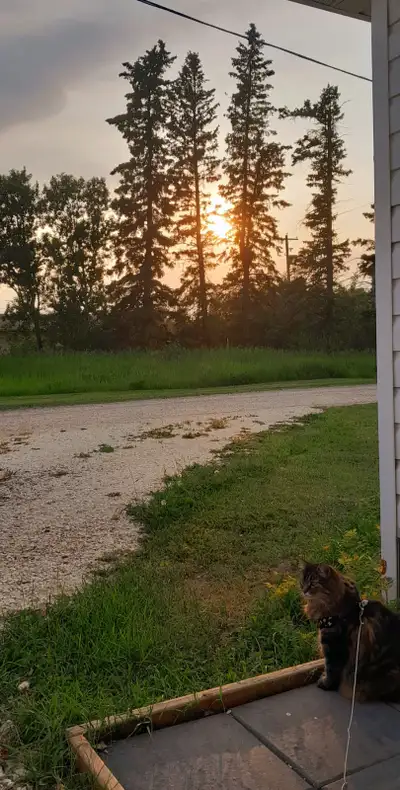 Shared home for rent in Ashern Looking for quiet respectable person who doesnt have pets and is work...