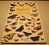 Butterfly Wall Chart Book - Life Size Colored Pictures