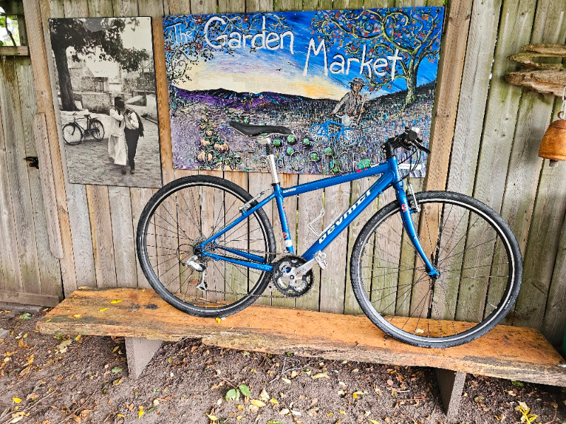 36 ads for womens hybrid bike in Bikes in Ontario Kijiji Marketplaces