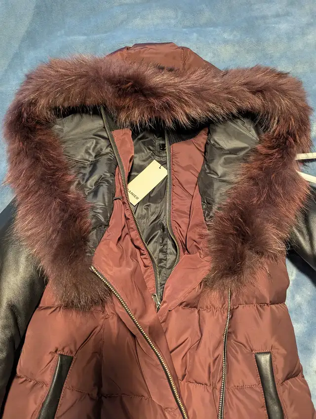 Danier Down Coat with  genuine leather sleeves in Women's - Tops & Outerwear in Oshawa / Durham Region - Image 3