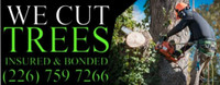 Tree Service! - We will cutter' down