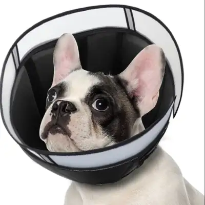 New medium dog e-collar / recovery cone, View more