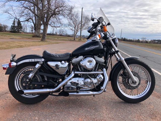 1992 HD Sportster 1200 conversion  in Street, Cruisers & Choppers in Charlottetown