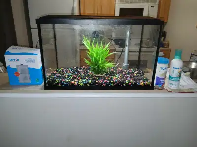 10 gallon, View more