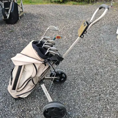 Ladies King Cobras graphite right hand 4. 5. 6. 7. 8. 9. pitching wedge and 55deg wedge Nancy Lopez...