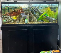 3 tanks, 2 fluval canisters, 1 tank has fish. Amounts in descrip