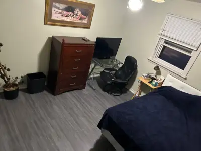 Large bright clean bedroom for rent