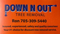 Down N Out Tree removal.