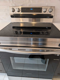 Samsung NE63A6111SS electric range