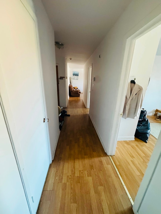 Two big rooms for rent. — photo 2