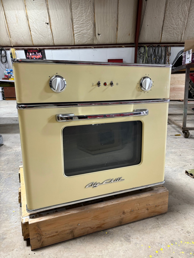 Big Chill Retro 30” Retro Wall Oven in Stoves, Ovens & Ranges in Saskatoon - Image 2