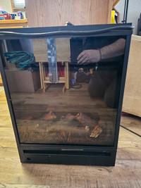Electric fireplace insert - REDUCED