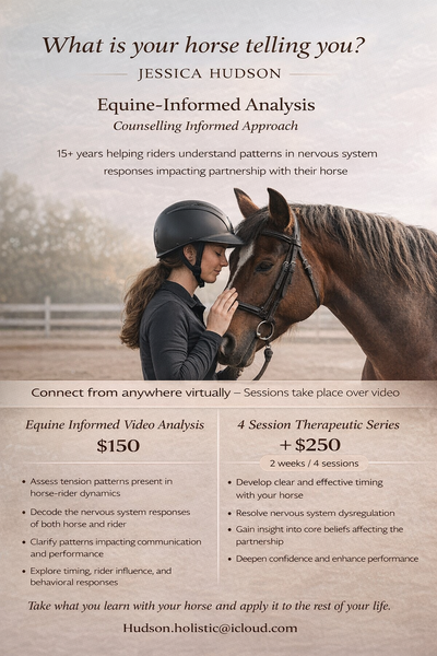 Horse and Rider Horsemanship/ Nervous System Coaching, View more