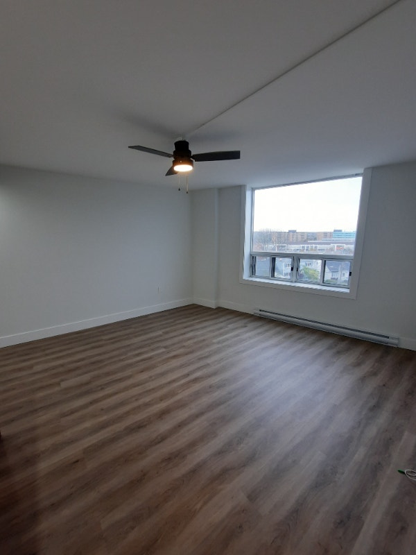 1 Bed 1 Bath Cozy and Modern 1595 Sept Dutch Village Rd Long Term