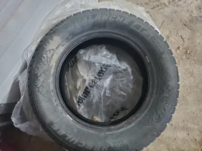 I have 2 winter tires off my old minivan probably have 1 season left $100