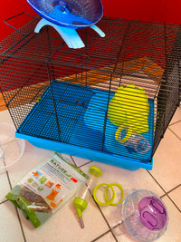Cage hamster nain hamster