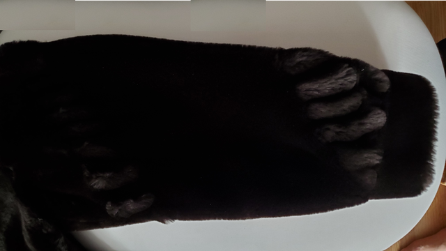 Beautiful Fur coat - Blackish-Dark-Brown Faux - NEW! - $80 O.B.O in Women's - Tops & Outerwear in City of Toronto - Image 7