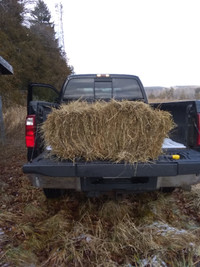 Horse Hay for Sale (square Bales)