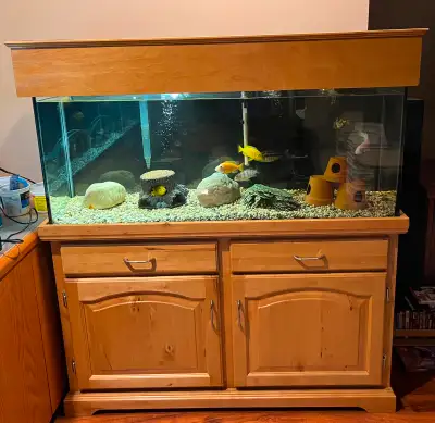 Aquarium set up, ready to go, View more