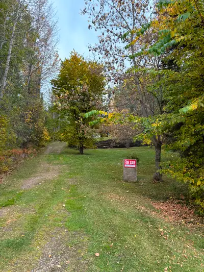 Cabin , Newer Cabinets , wooden fireplace,300 Gallon holding tank , 800 gallon septic.Beantifully Tr...
