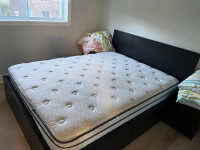  ** Fully furnished room available for rent**