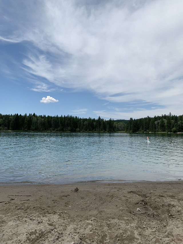 Wanted: Tie Lake, BC Property in British Columbia