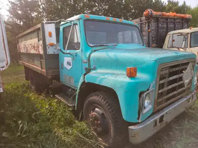1982 International S1700 grain truck. It's been sitting for several years, but the owner stated is w...