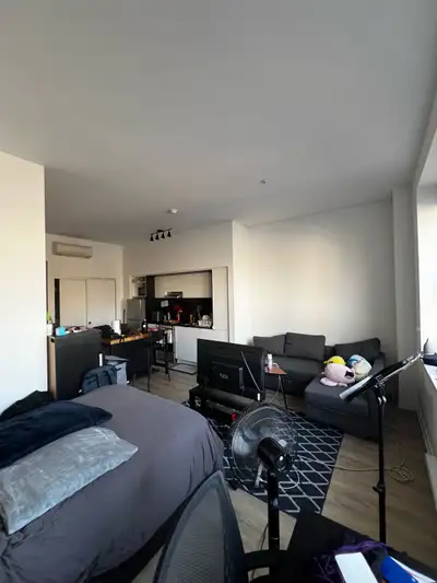 Downtown Sublet or Lease Transfer available July 1st Hi everyone, After finishing at McGill, I’m now...