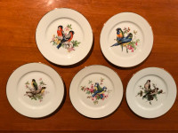 Set of Five Vintage Rosenthal JKW Decorative Bird Plates