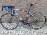 Specialized Roubaix carbon fiber road bike 