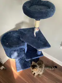 Small cat condo pickup only