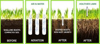 lawn aeration - best prices - free quotes//// fertilizer/ seed