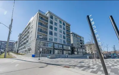 Move in and focus on your studies! This bright, fully furnished modern penthouse corner suite offers...