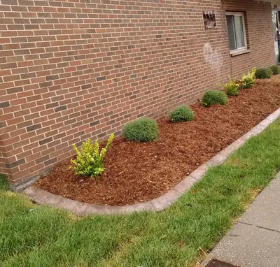 Lawn mowing $45 - Windsor Fast & Reliable - Book Today, View more