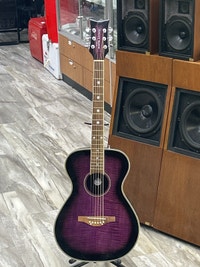 Daisy Rock Left Hand Acoustic Electric Guitar Oshawa / Durham Region Toronto (GTA) Preview