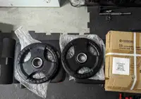 15 lb rubber coated plates x2