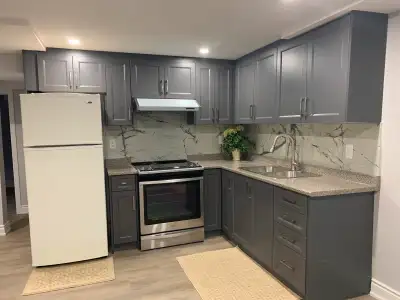 Brand new one bedroom & den (small room) basement apartment
